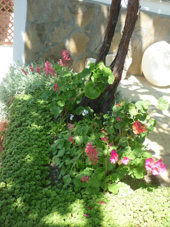 Guest House Harmony Βελίκο Τίρνοβο Εξωτερικό φωτογραφία